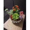 Plant-Arrangement in a Basket